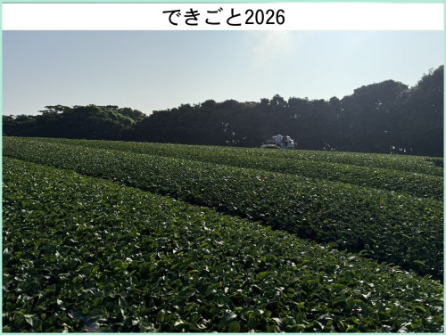 tuyuharai20260723d.jpg
