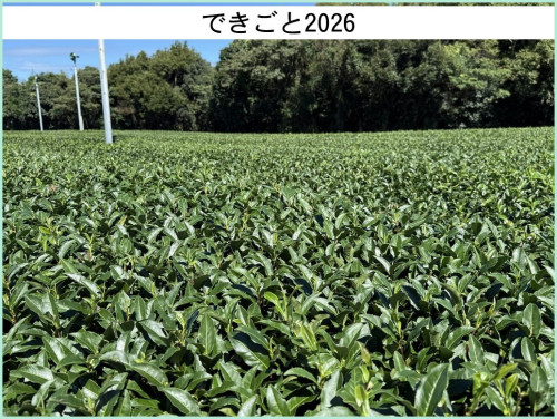 dekigoto20260922d.jpg