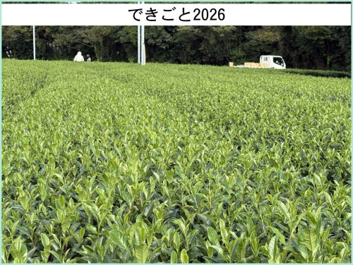 dekigoto20261003d.jpg