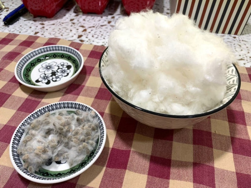 【ブログ更新】和棉の綿くり作業