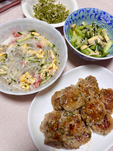 【ブログ更新】実家で母とシニアご飯