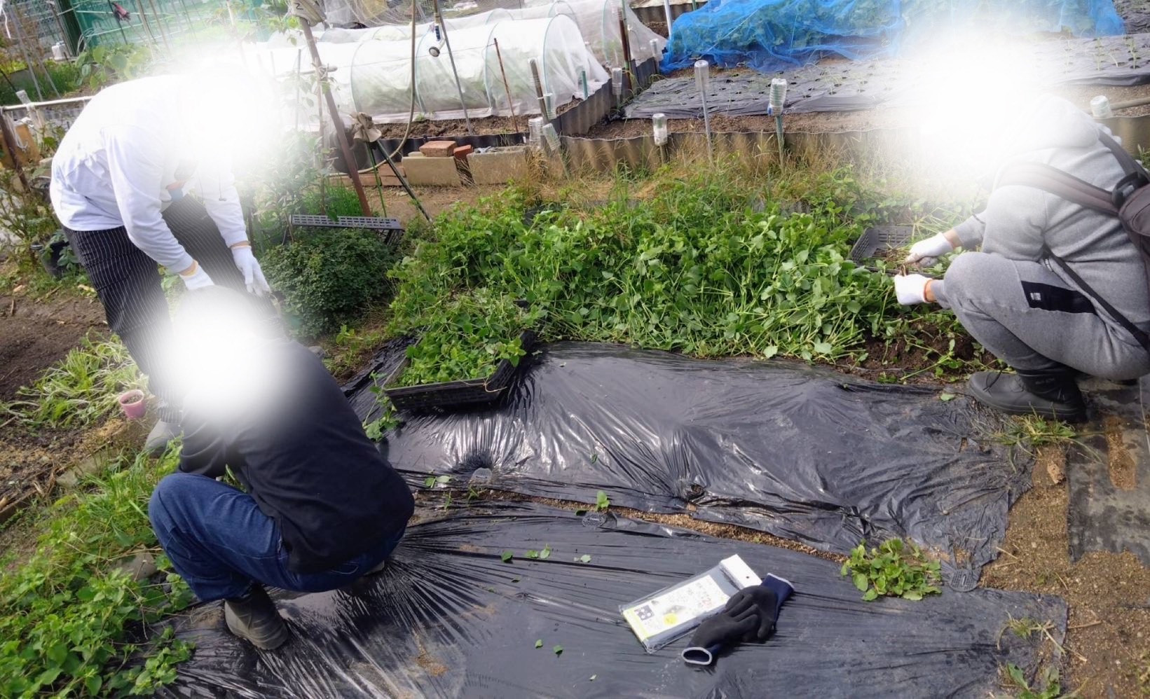 2025/11/5  はたけ　始まりました！！　地域活動報告