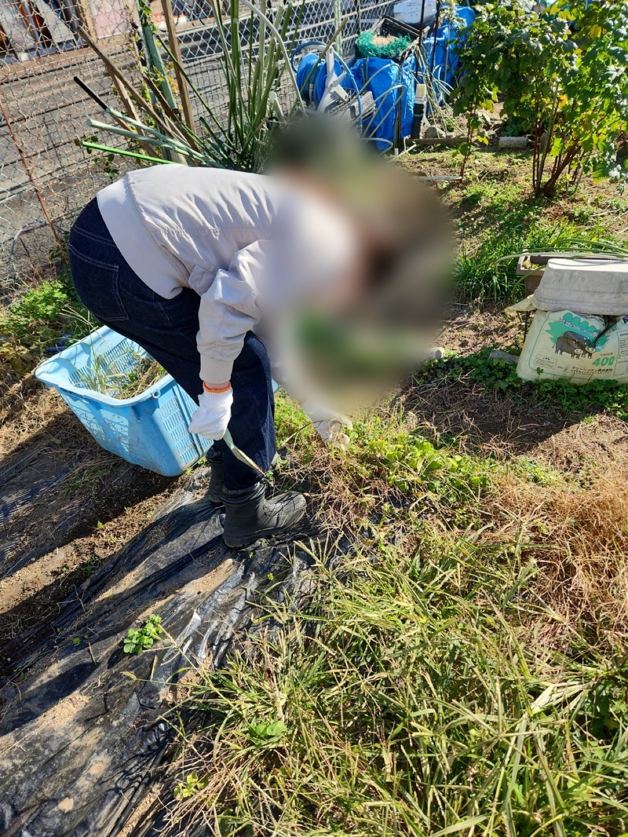 20258/12/5　はたけ　の写真アップ！！