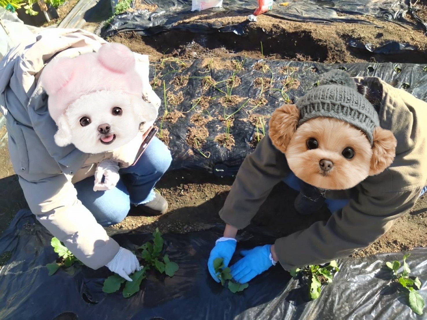 2025/12/19　はたけ　　