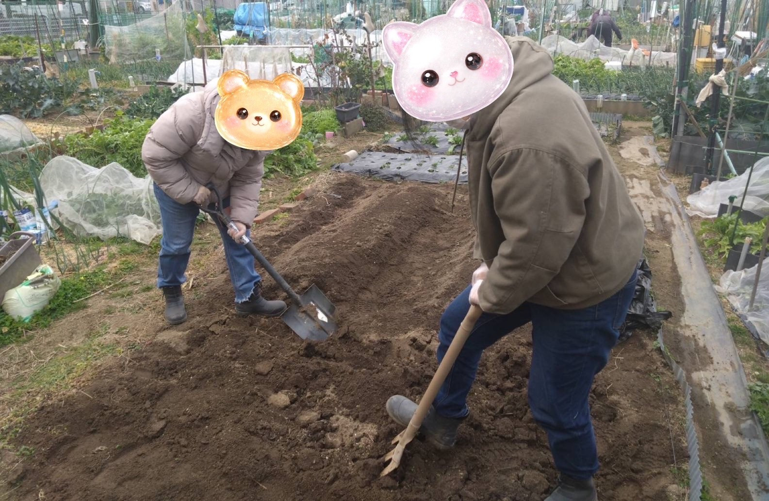 2026/2/5　はたけ