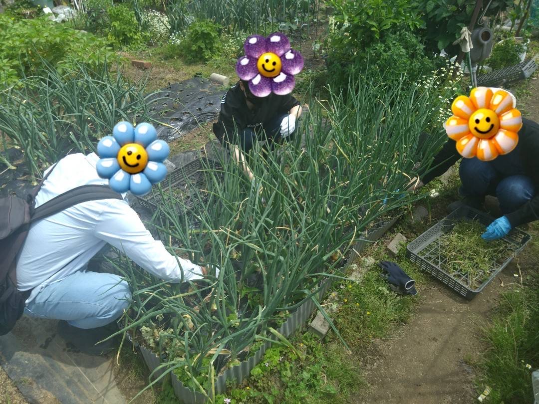 2026/5/13　