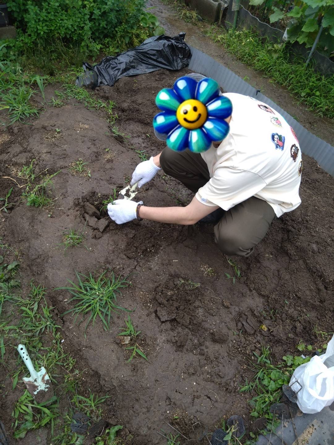 2026/6/9　はたけ