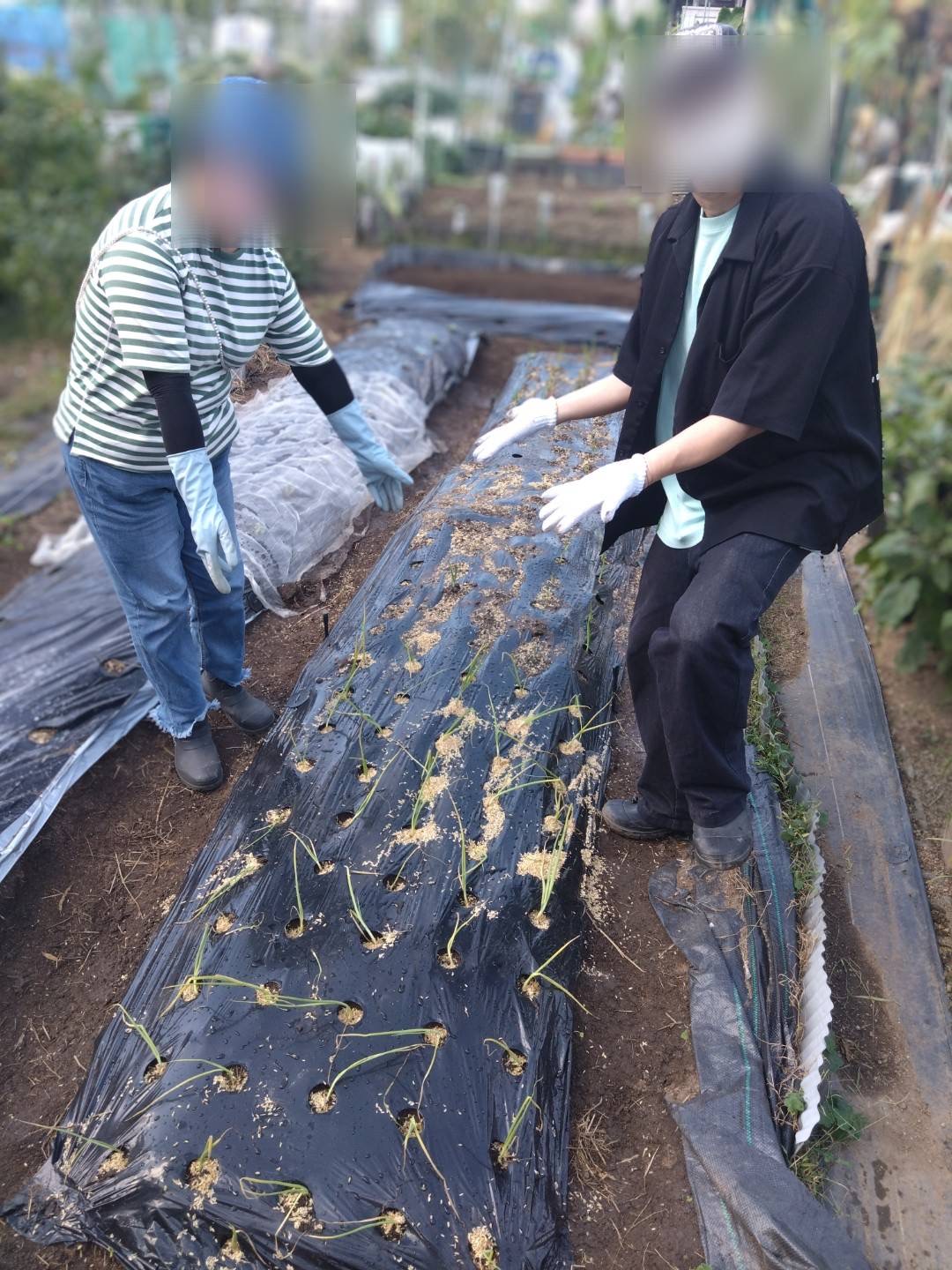 2026/10/22　はたけ　