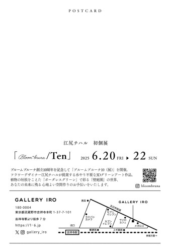 白 シンプル 個展 ポストカード DM はがき.jpg