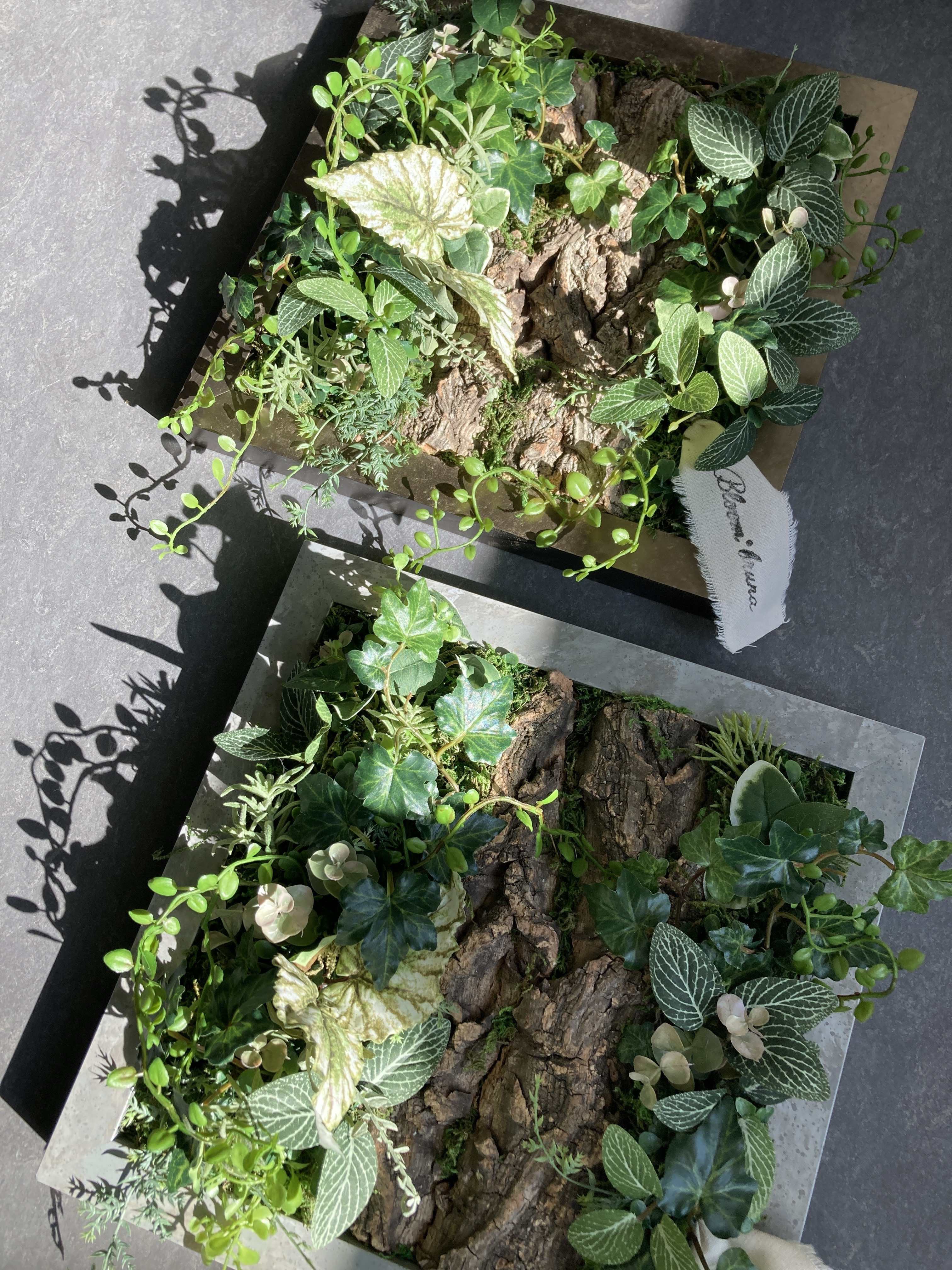 「SONO+C」実物に触れます！