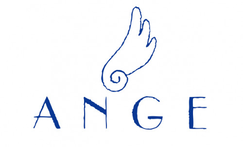 PV-ANGE-logo 1.png