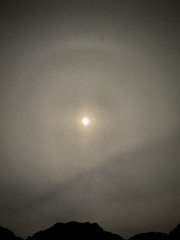IMG_6318.jpeg
