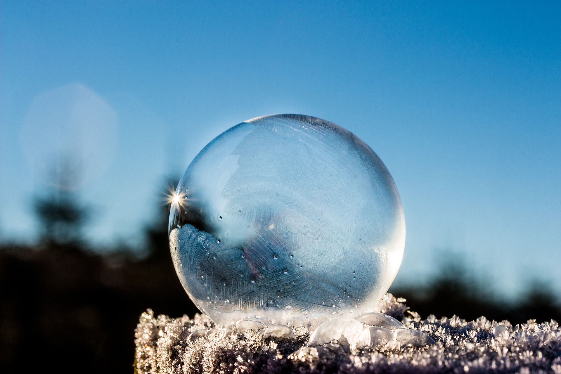 frozen-bubble-1943224_1920.jpg