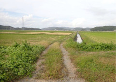 2-1.oomoriseichi.jpg