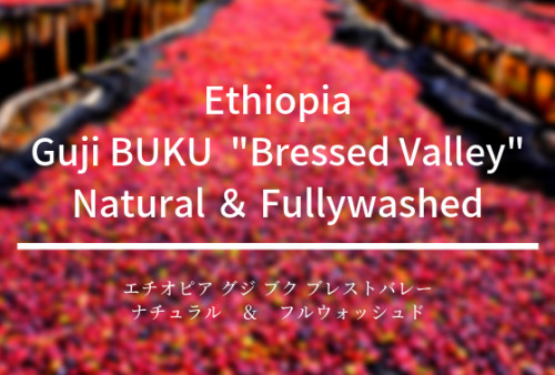 Ethiopia Guji BUKU _Bressed Valley_.png