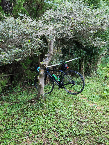 自転車置き場