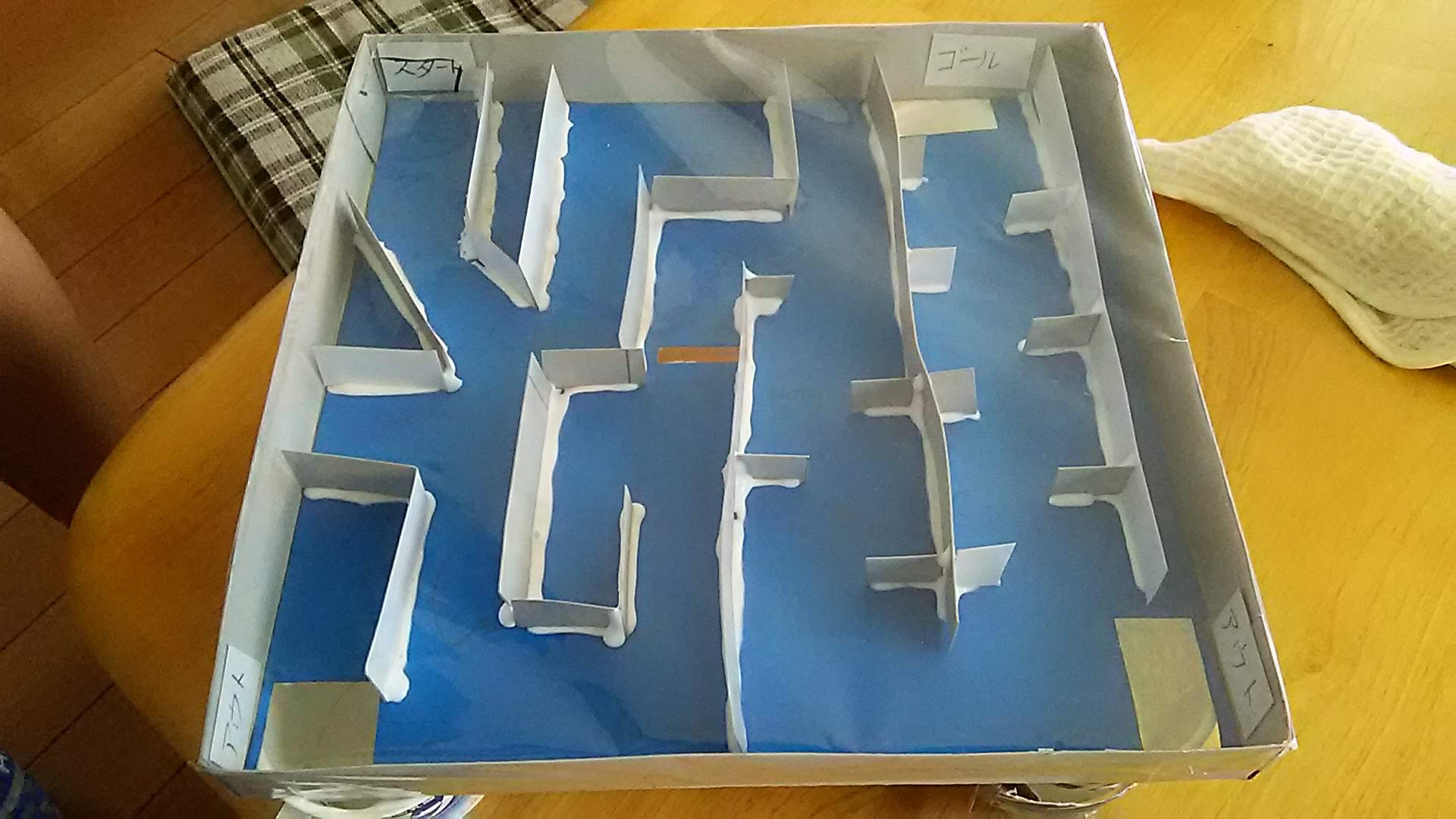 DSC_1203.jpg