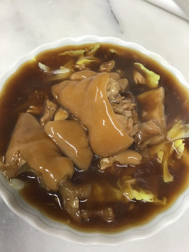 1/22-28日週替りランチお知らせ