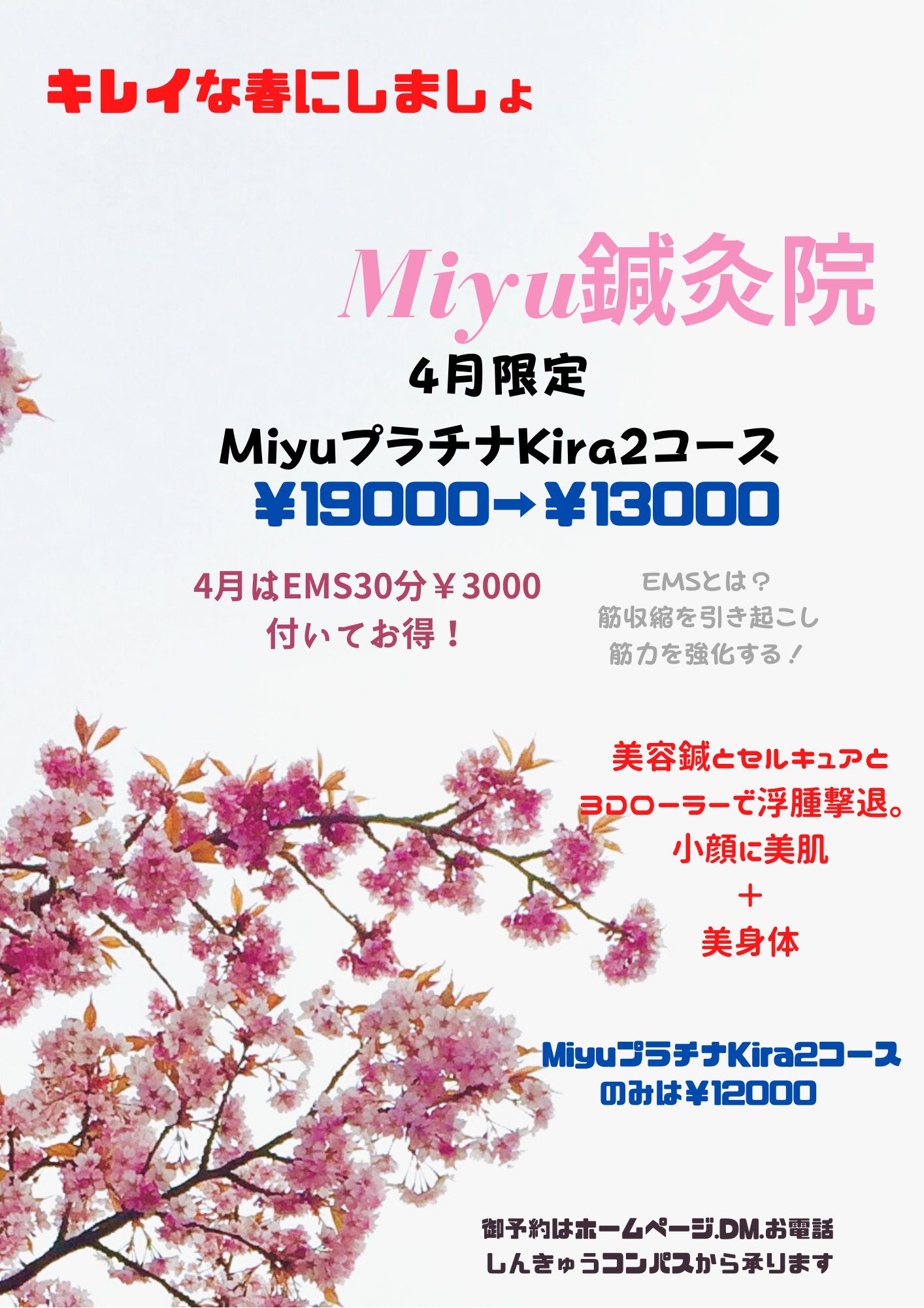 ★★4月限定　MiyuプラチナKira2コース＋EMSコース　￥19000＋￥3000　➡￥1300０！★★