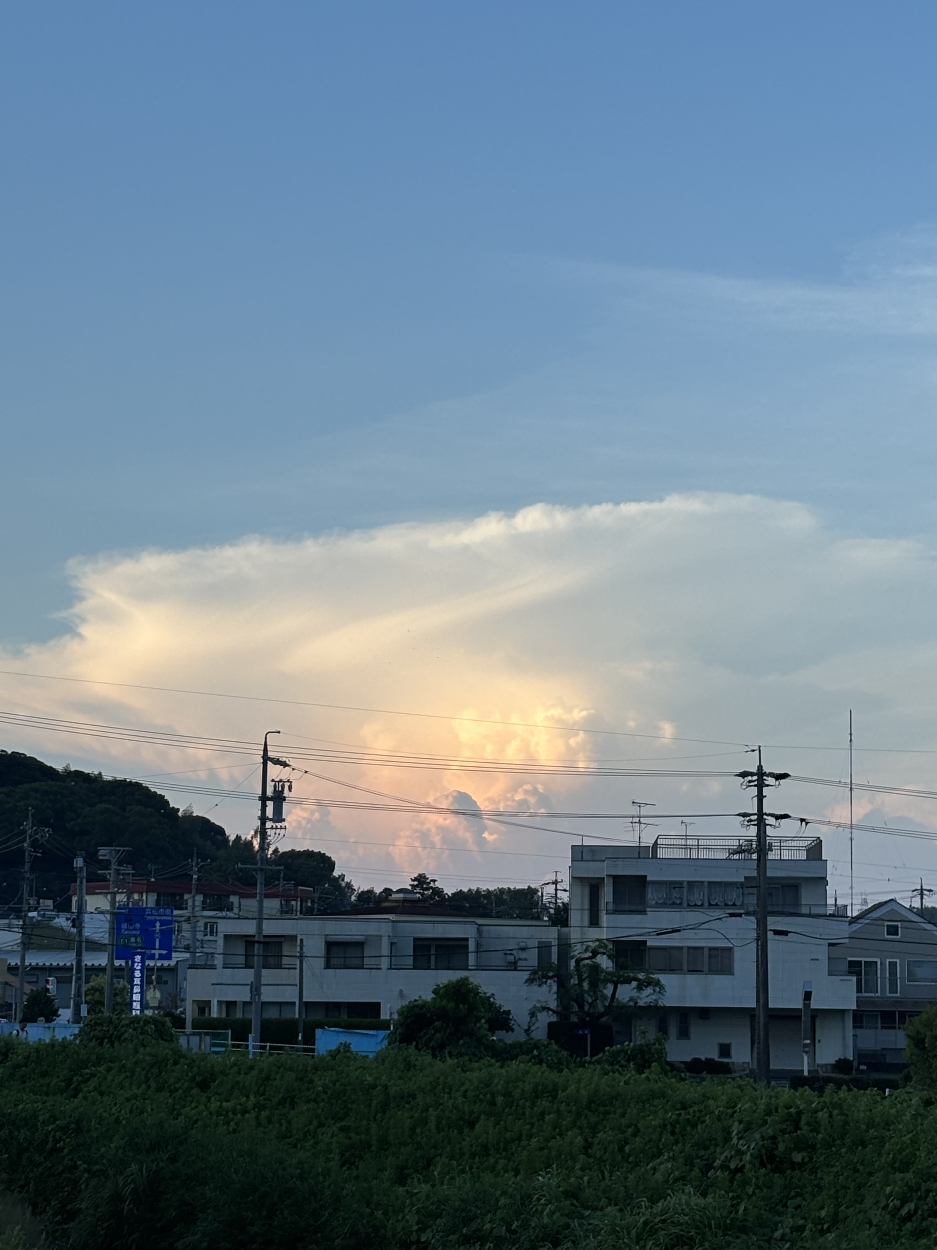 夏季休暇のお知らせ