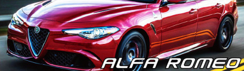 alfa.jpg