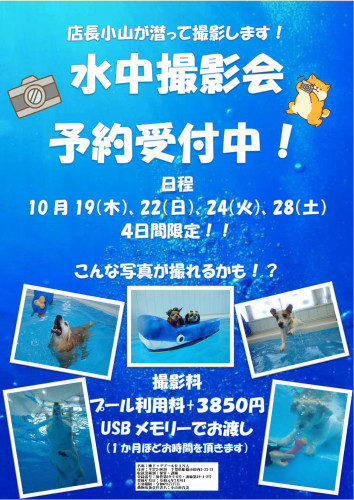 10月水中撮影会開催！