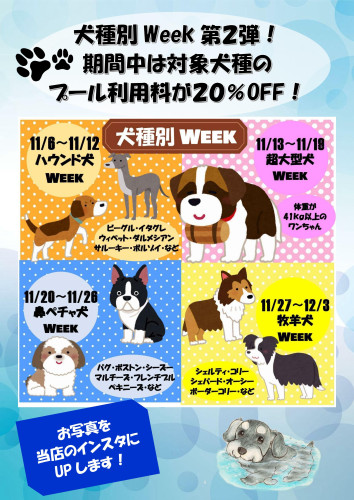 犬種別Week　第2弾！