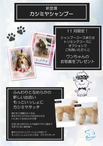 11月美容キャンペーン