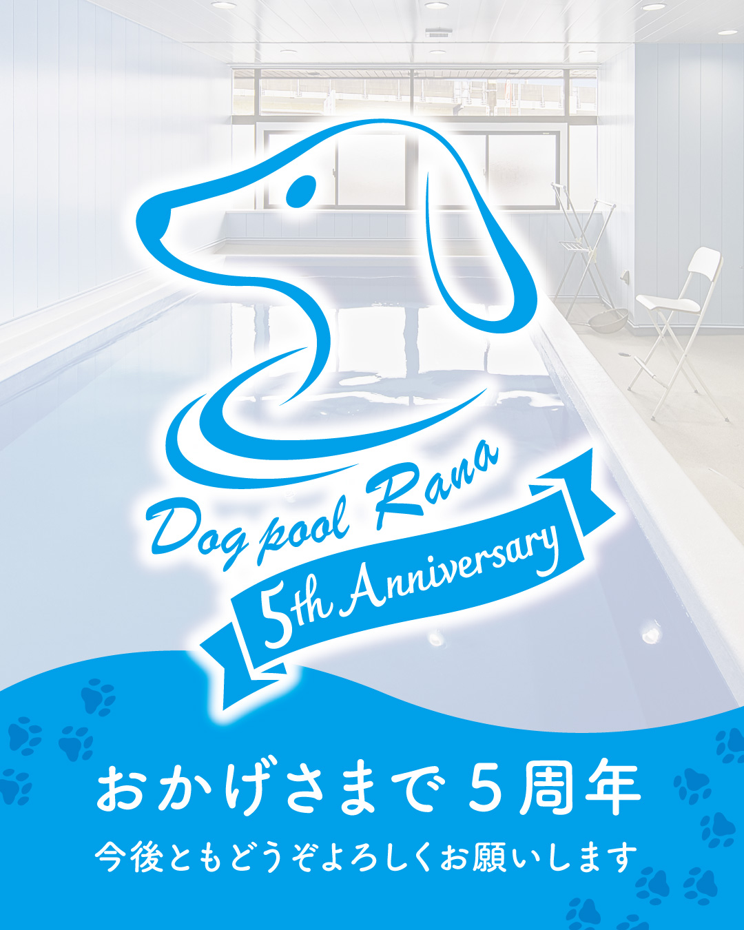 ５周年記念キャンペーン