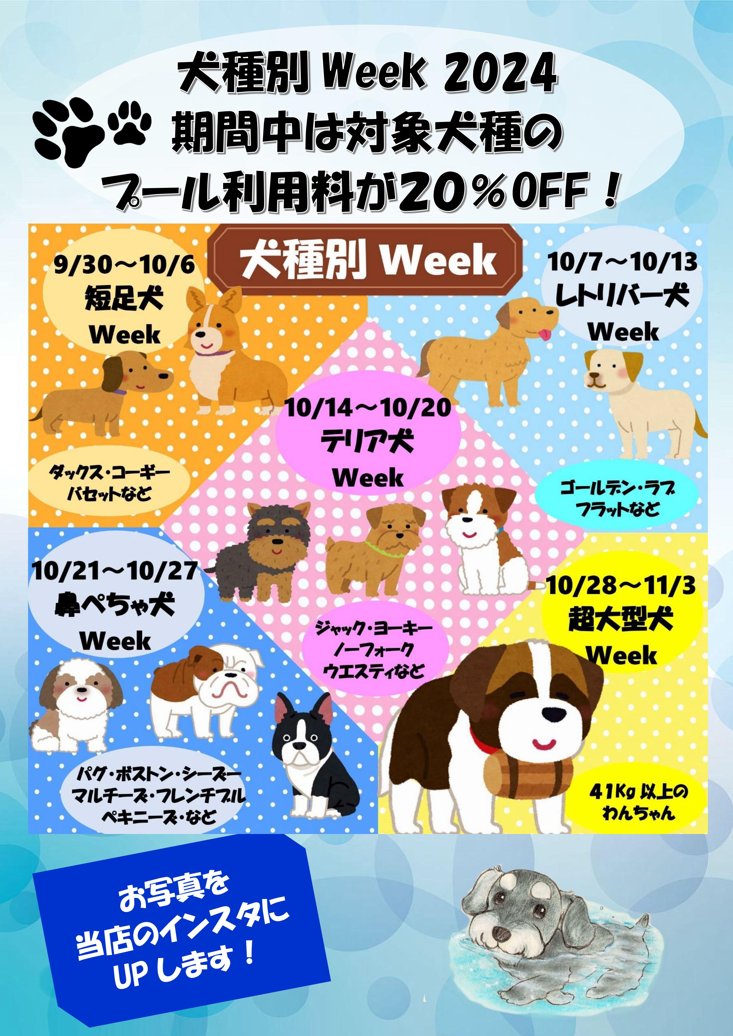 犬種別Week2024