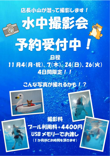 水中撮影会１１月開催！！