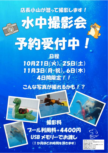 水中撮影会予約受付中
