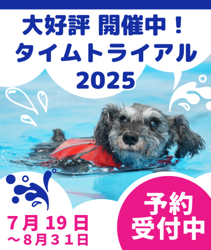タイムトライアル2025中間集計発表！！