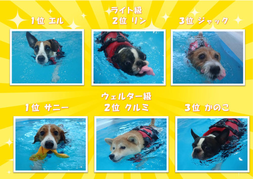 写真34_01.jpg