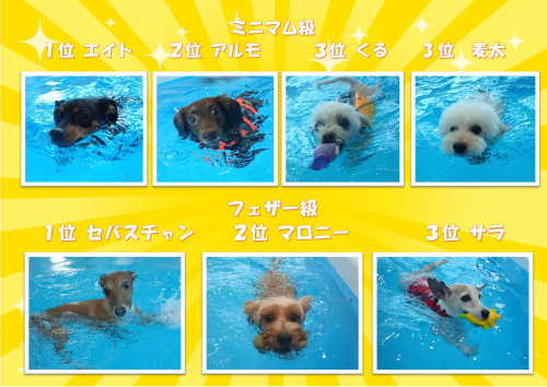 写真12_01.jpg