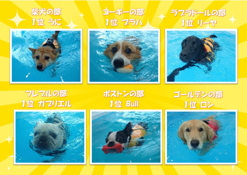 写真犬種別3_01.jpg