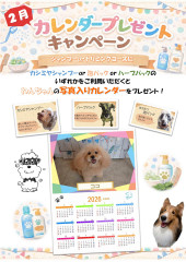 美容カレンダーCP20262_01.jpg