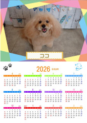 カレンダー2026_01.jpg