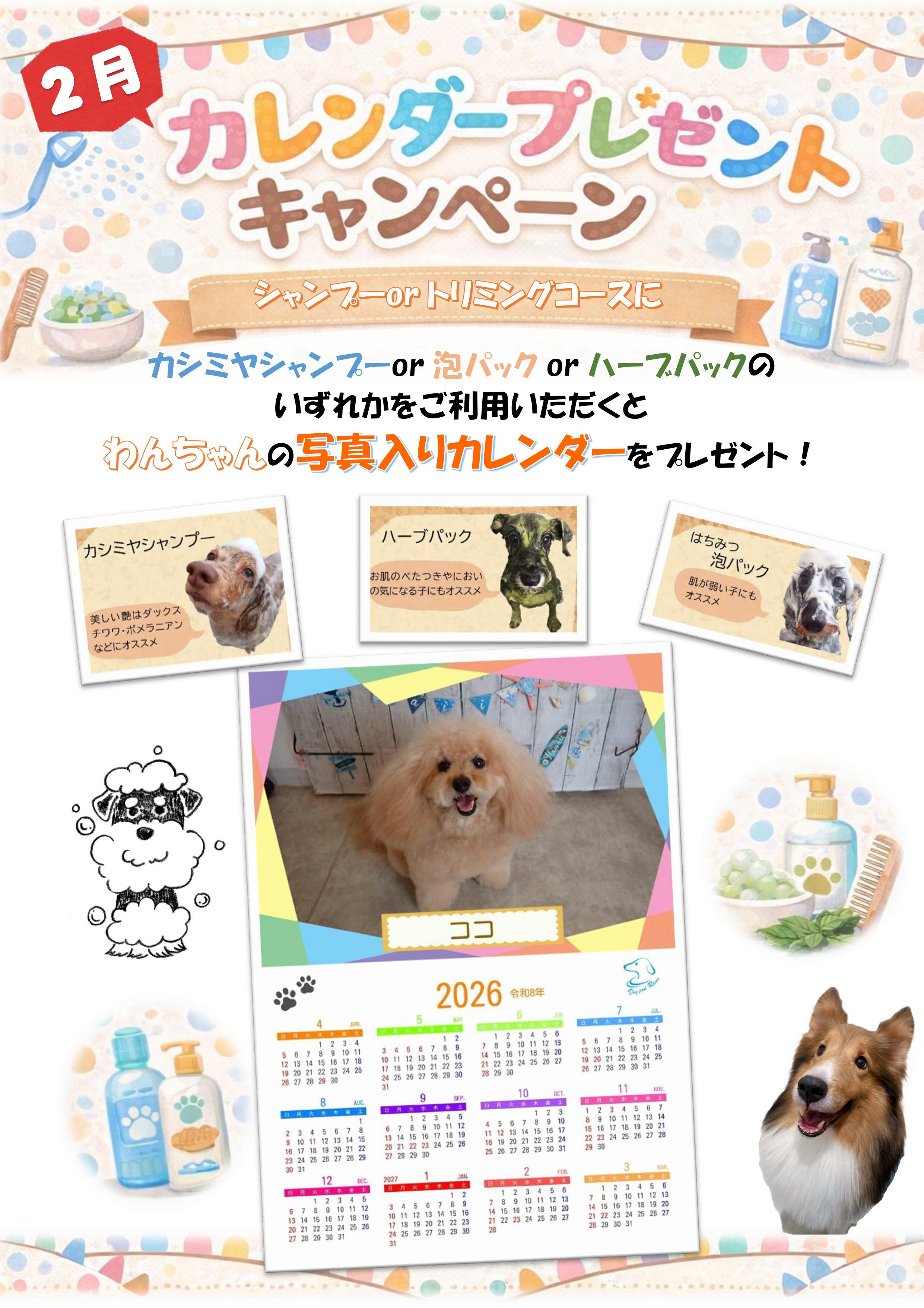 2月美容キャンペーン