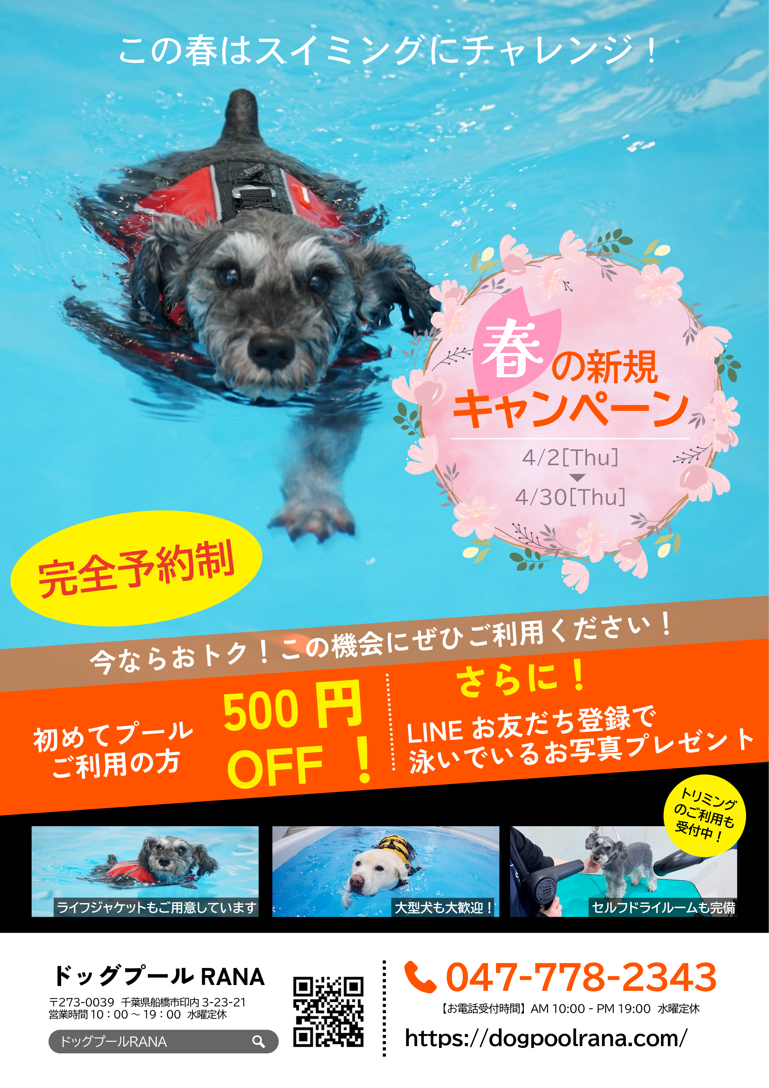 プール新規割引キャンペーン