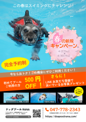 プール新規割引キャンペーン