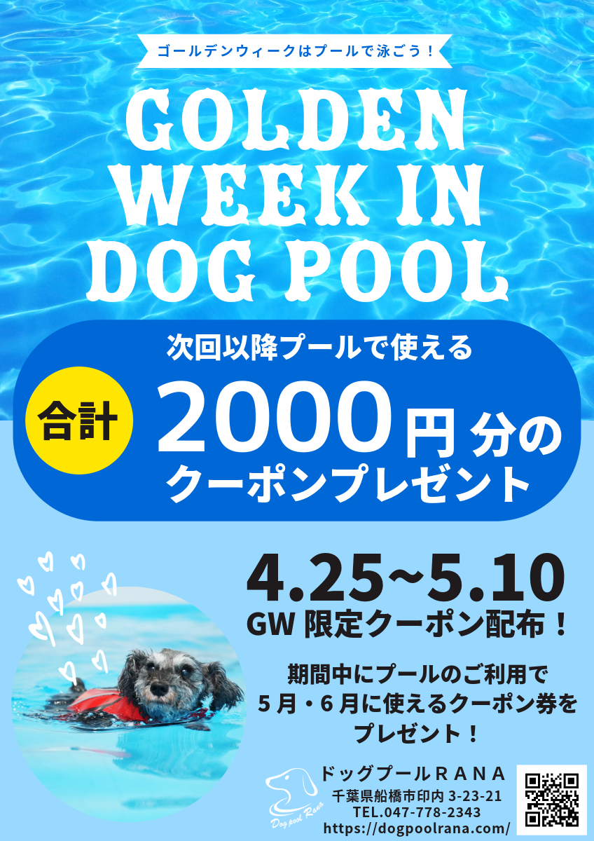 GWプールキャンペーン