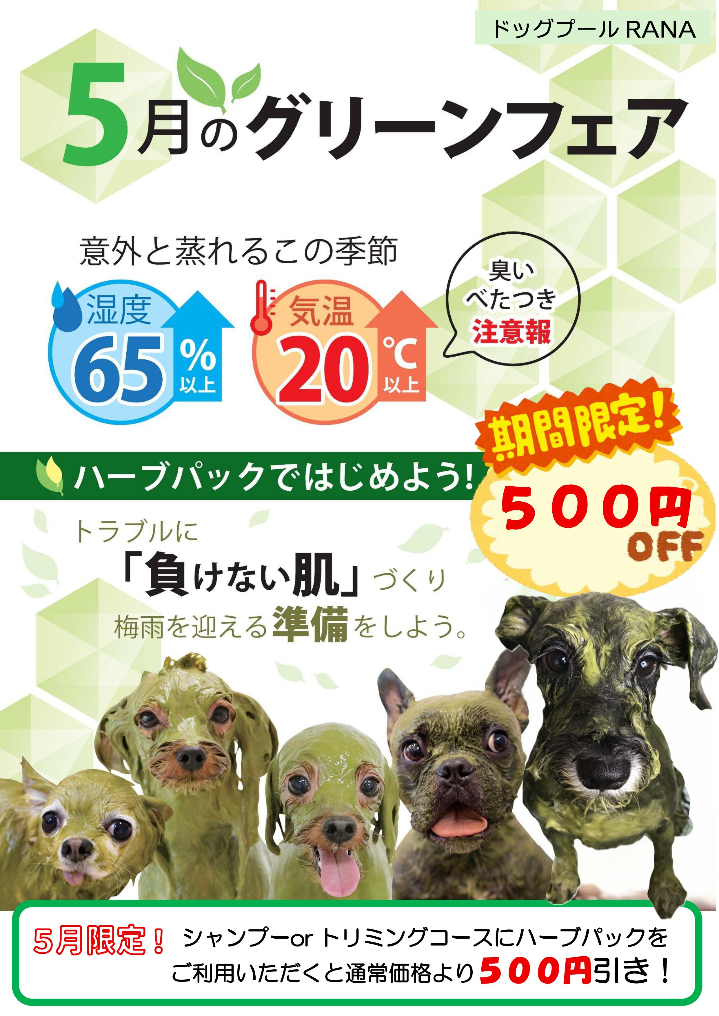 ５月ハーブパックキャンペーン