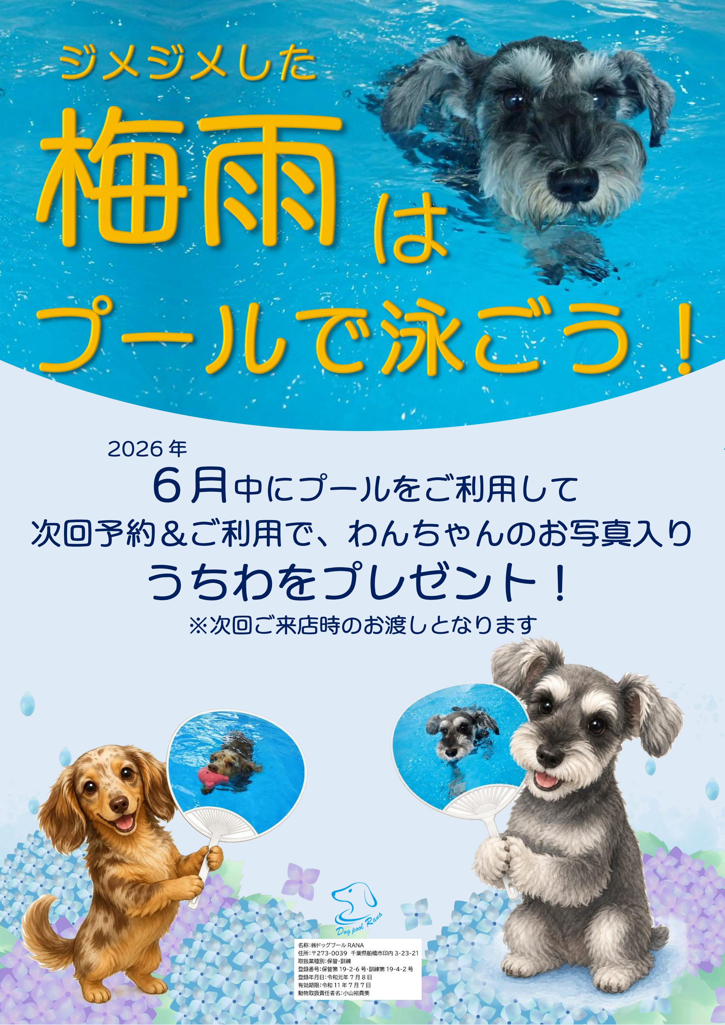 ６月のプールキャンペーン