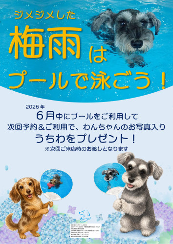 ６月のプールキャンペーン