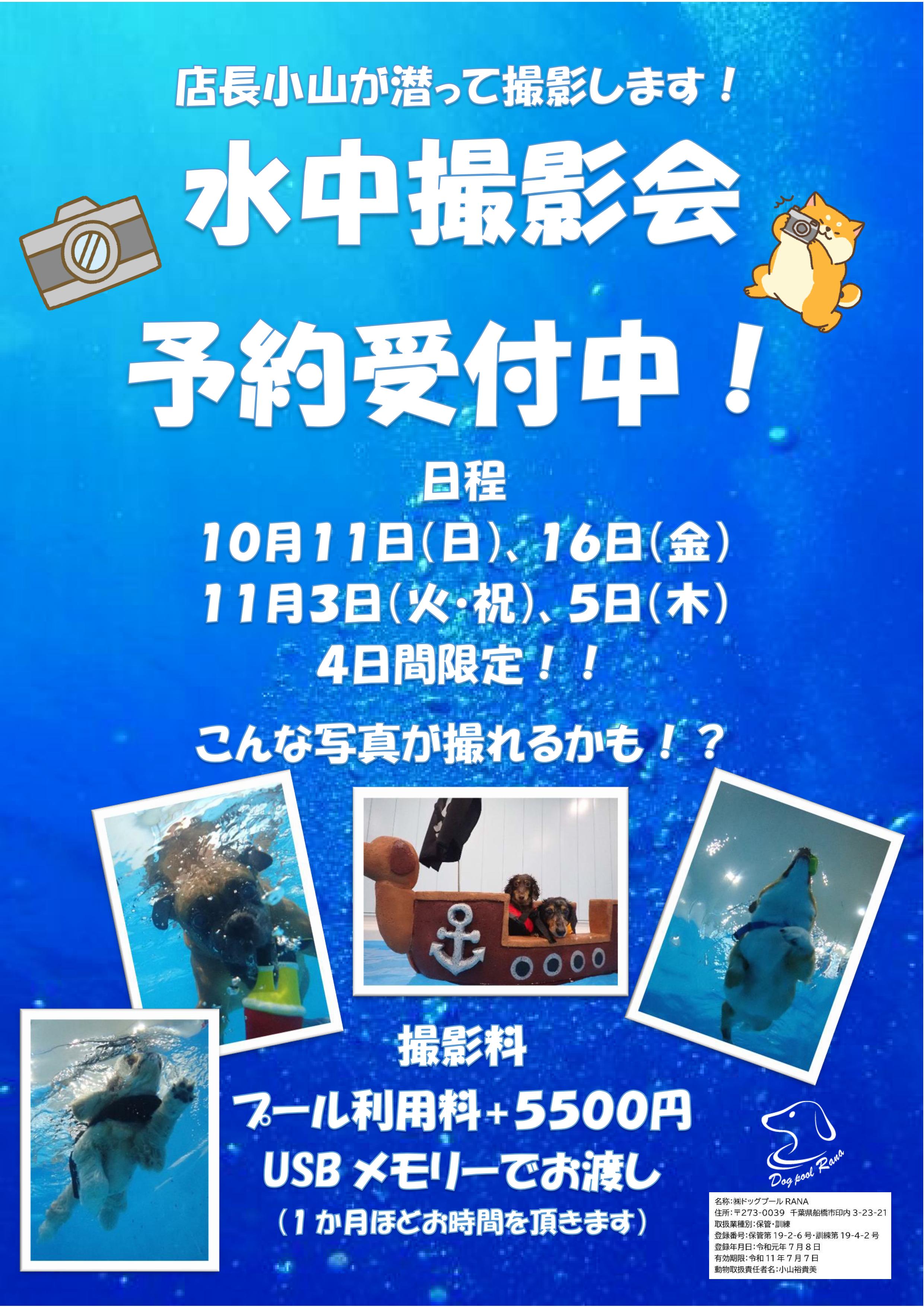 水中撮影会POP2026_01.jpg