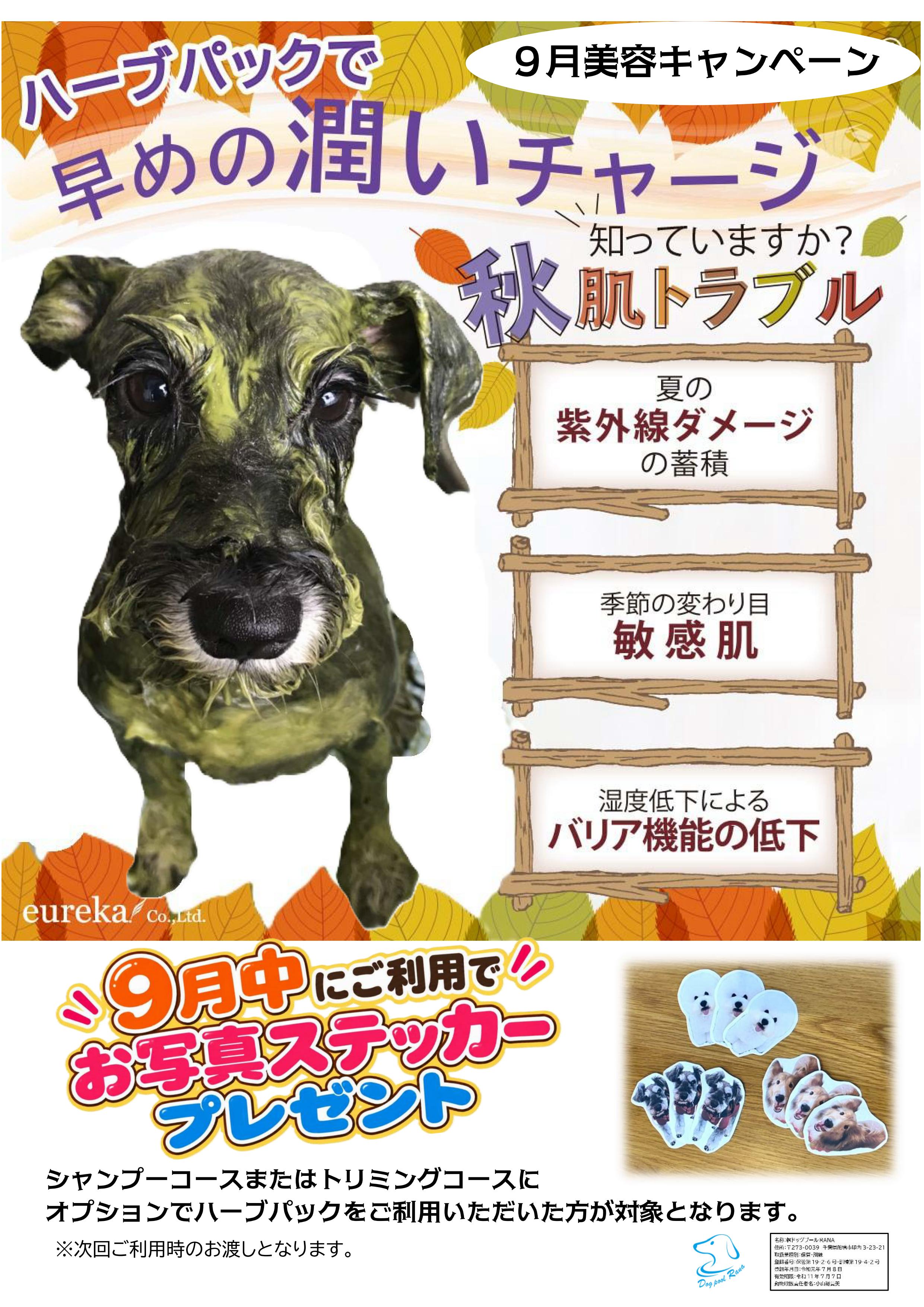 ハーブキャンペーン_01.jpg
