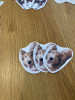 S__65658885_0.jpg