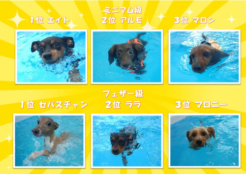 写真12_01.jpg