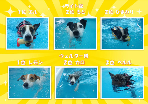 写真34_01.jpg